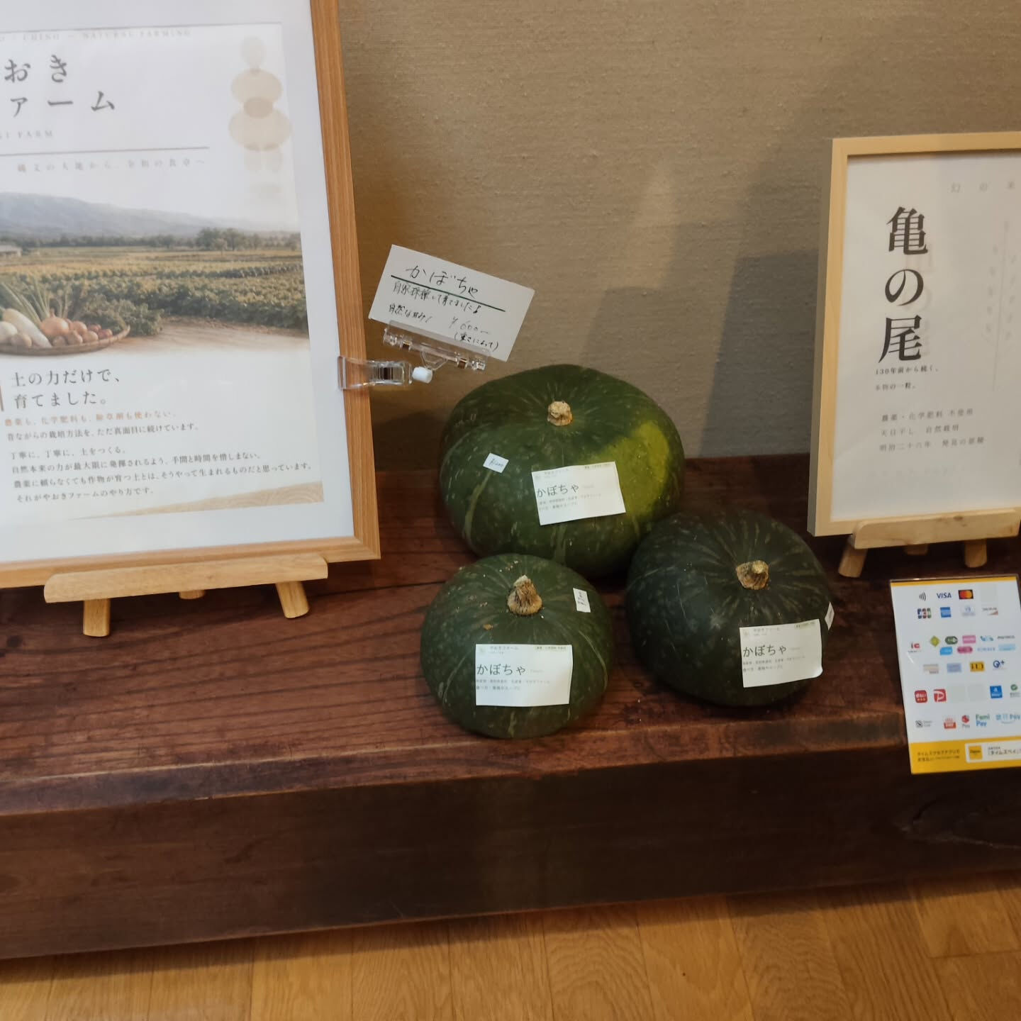 追熟が完了したかぼちゃを絶賛販売しております♪