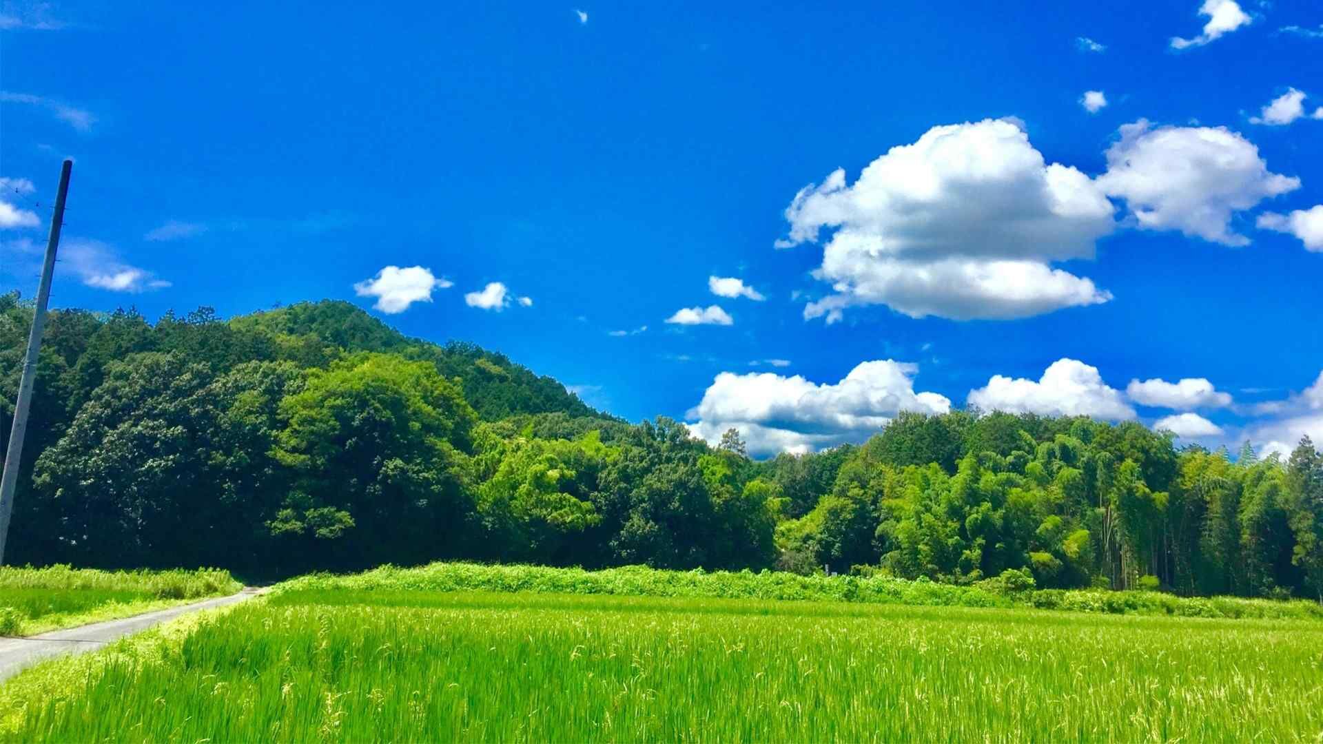 農園